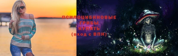 стаф Алексин