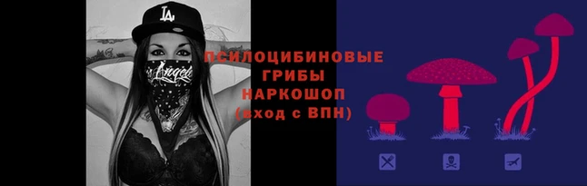 амф Алзамай