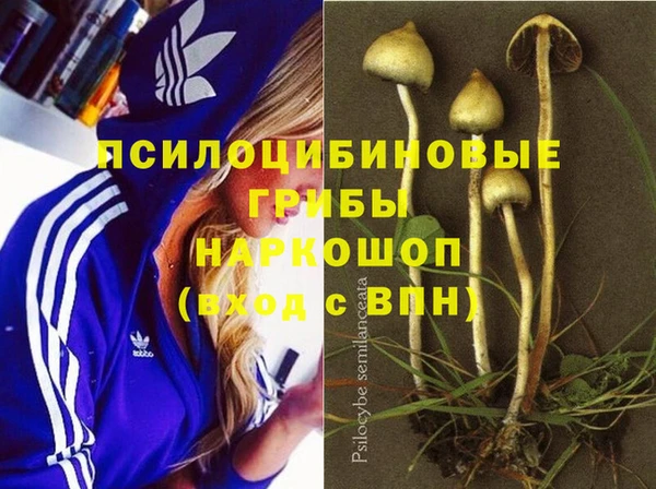 амф Алзамай