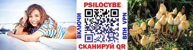 цена   Бронницы  Галлюциногенные грибы MAGIC MUSHROOMS 